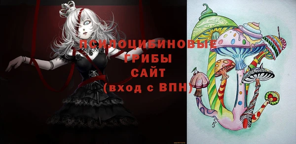 ПСИЛОЦИБИНОВЫЕ ГРИБЫ Касимов