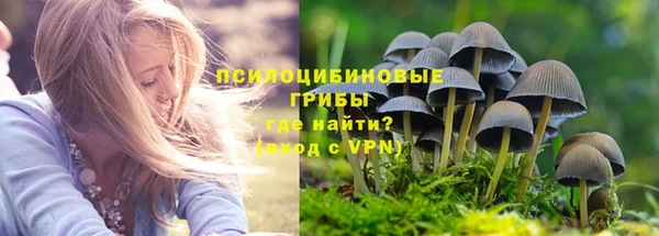 ПСИЛОЦИБИНОВЫЕ ГРИБЫ Касимов