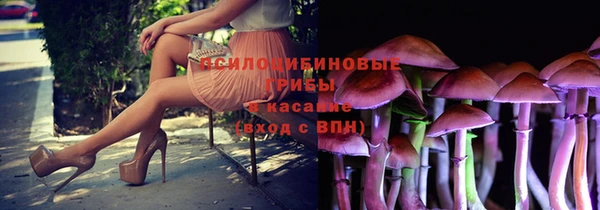 прущая мука Карпинск