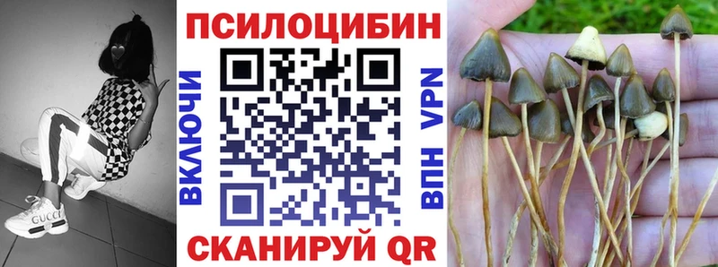 Галлюциногенные грибы GOLDEN TEACHER  Малоархангельск 